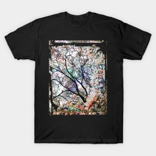 Japanese Sakura Tree Cherry Blossom Collage Art 64 T-Shirt